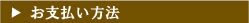 �͎����ޡ�����ʧ�ʎގŎ�