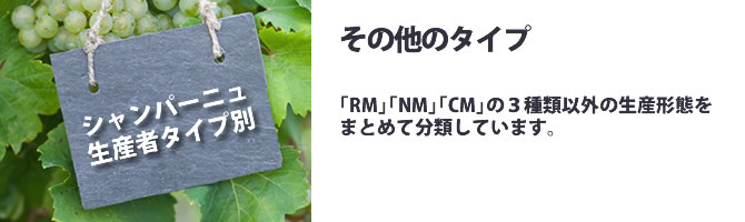 カテゴリー その他のタイプ