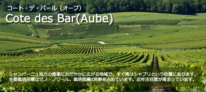 シャンパン コート・デ・バール(オーブ)