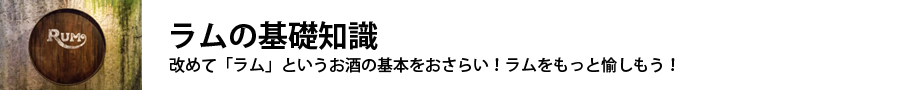 ラム特集　基礎知識タイトル