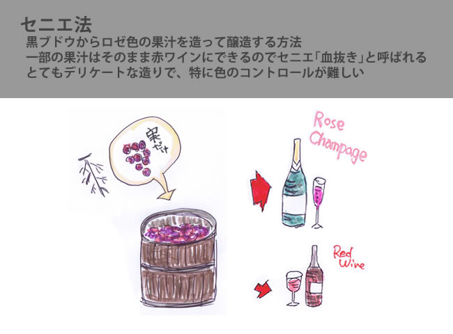 シャンパン ロゼ セニエ法
